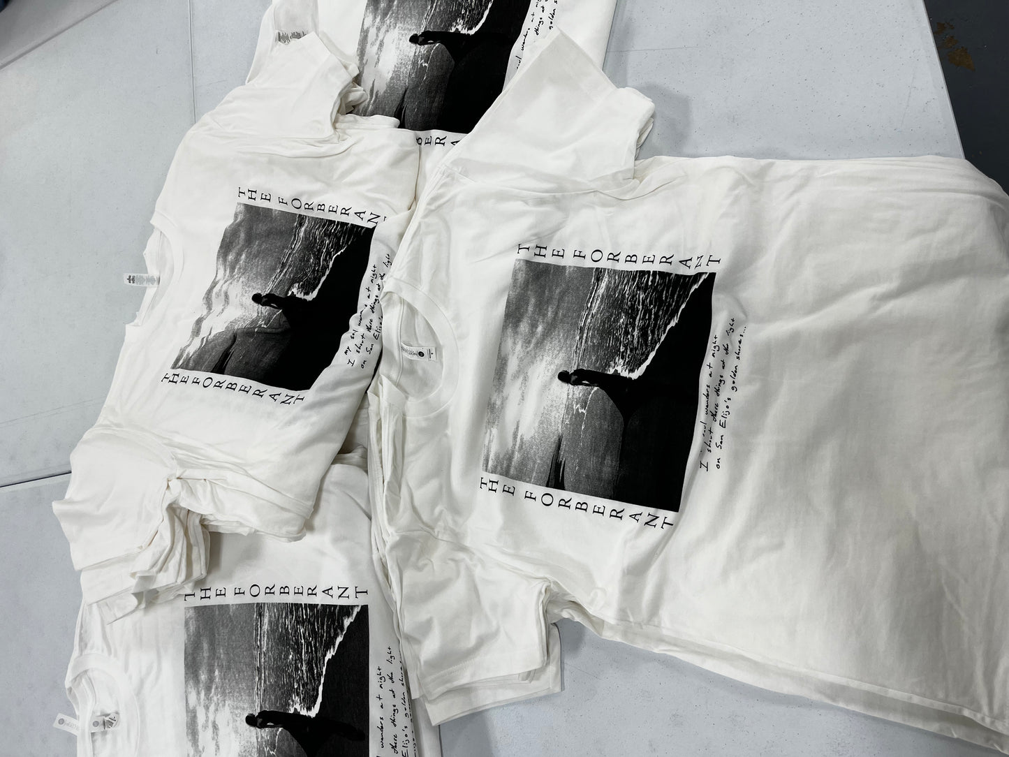 Seabird Muse t-shirt